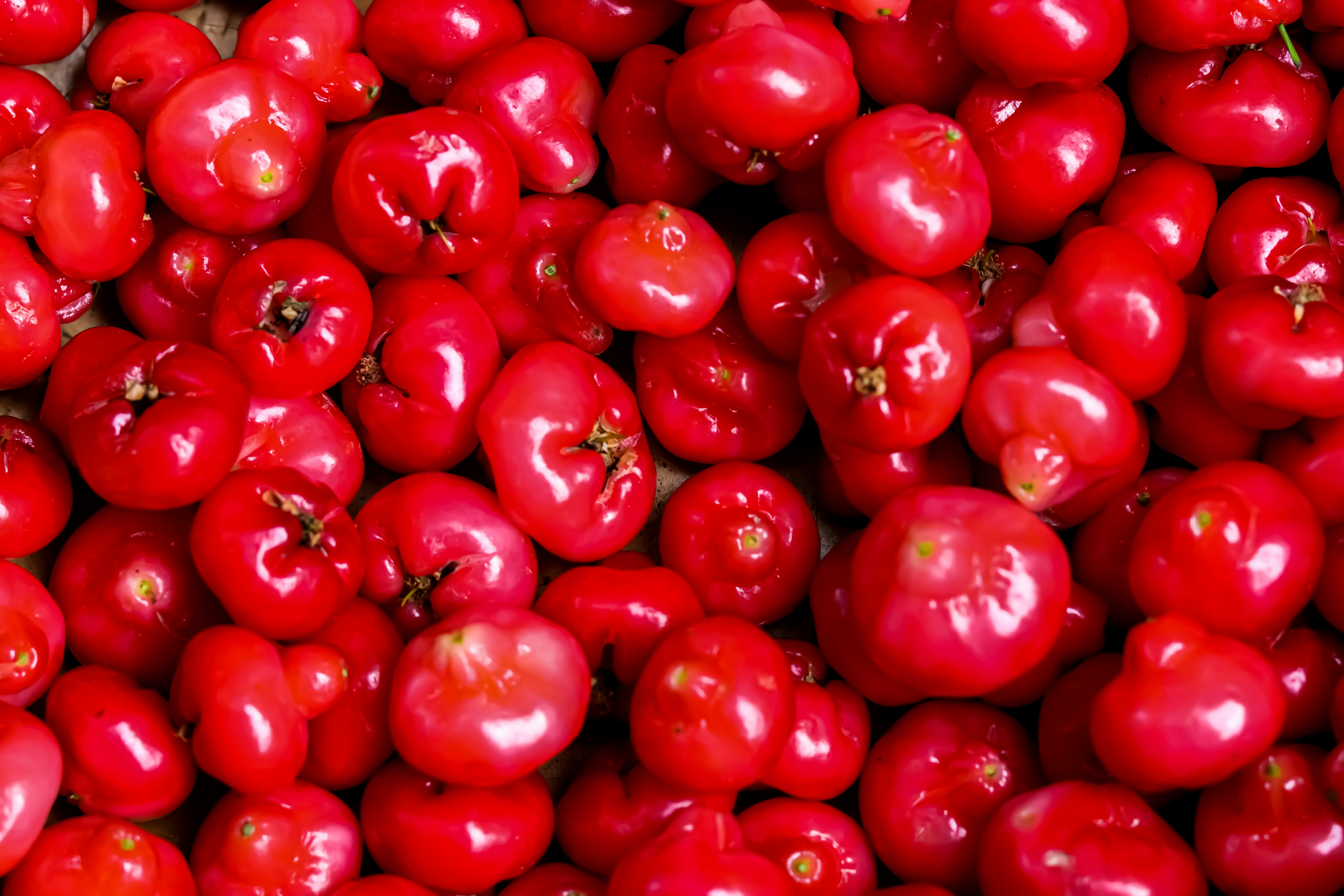 red round fruits on white background